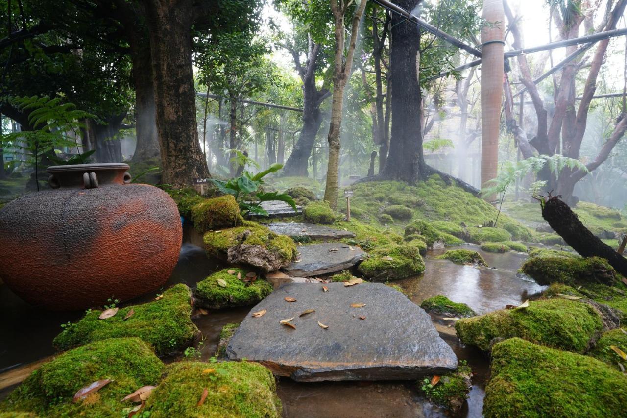 Treescape Resort Chiangmai Chiang Mai Exteriör bild