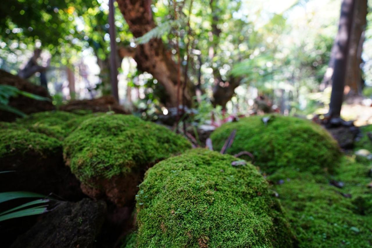 Treescape Resort Chiangmai Chiang Mai Exteriör bild