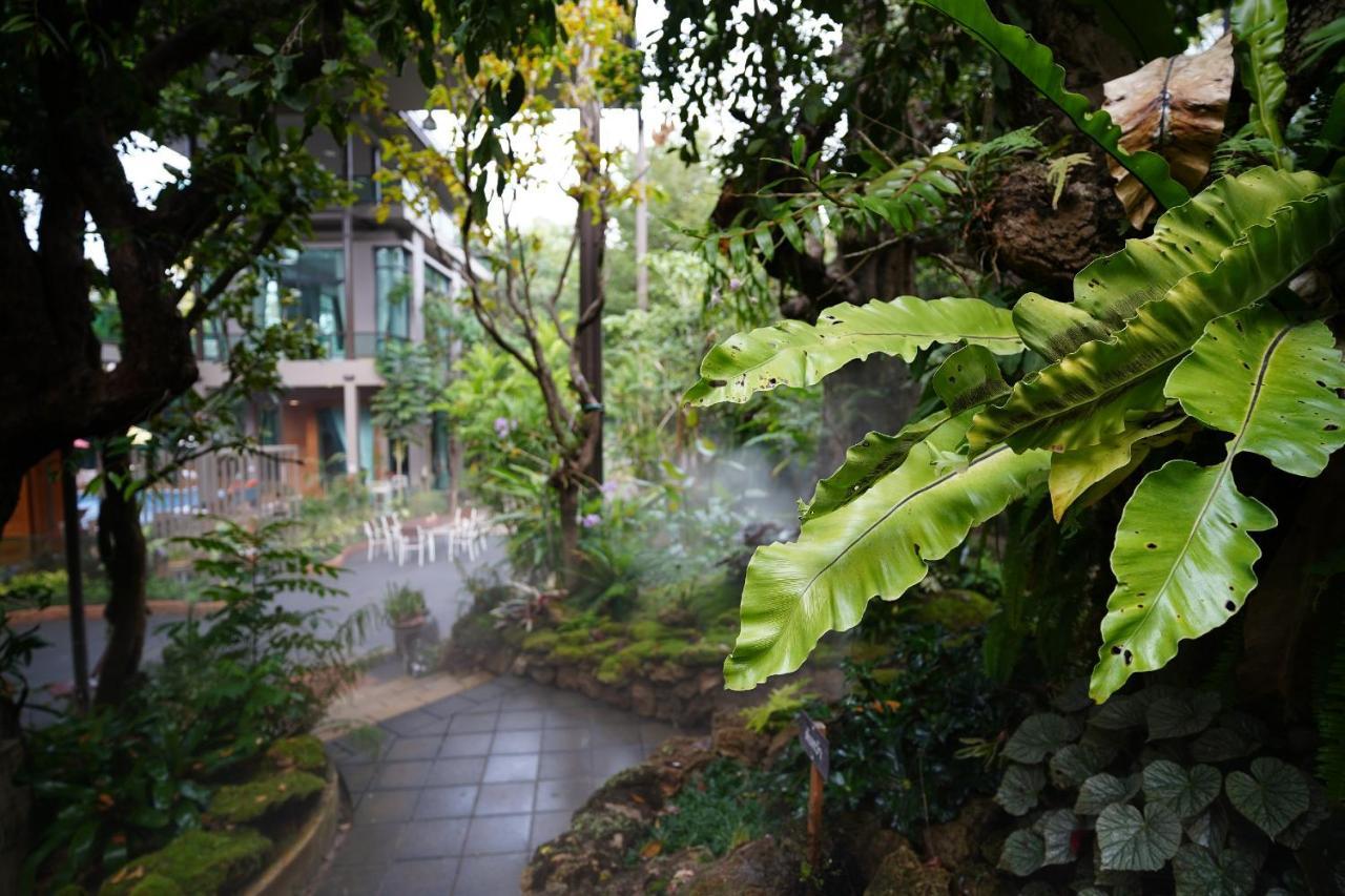 Treescape Resort Chiangmai Chiang Mai Exteriör bild