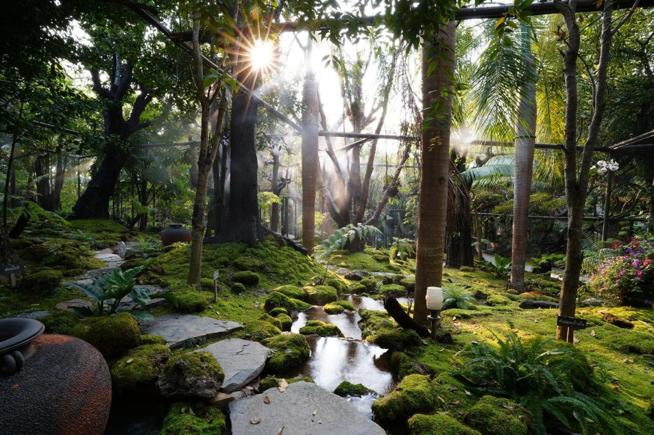 Treescape Resort Chiangmai Chiang Mai Exteriör bild