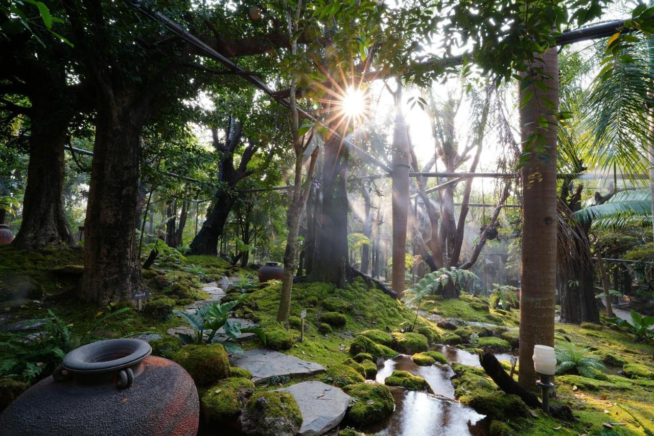 Treescape Resort Chiangmai Chiang Mai Exteriör bild