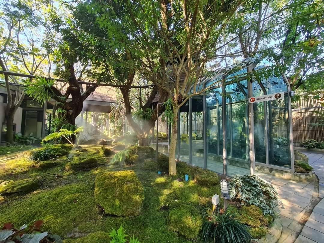 Treescape Resort Chiangmai Chiang Mai Exteriör bild