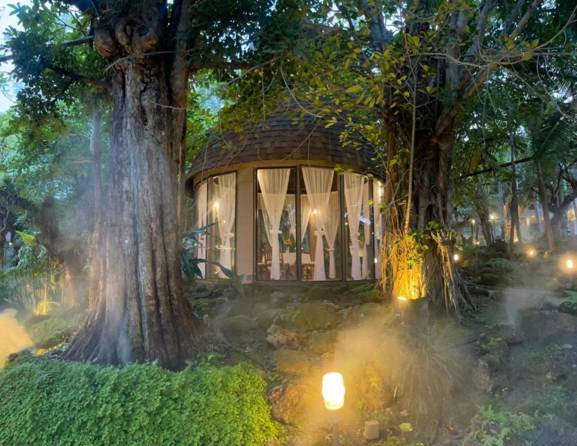 Treescape Resort Chiangmai Chiang Mai Exteriör bild
