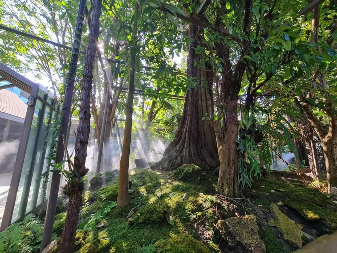 Treescape Resort Chiangmai Chiang Mai Exteriör bild