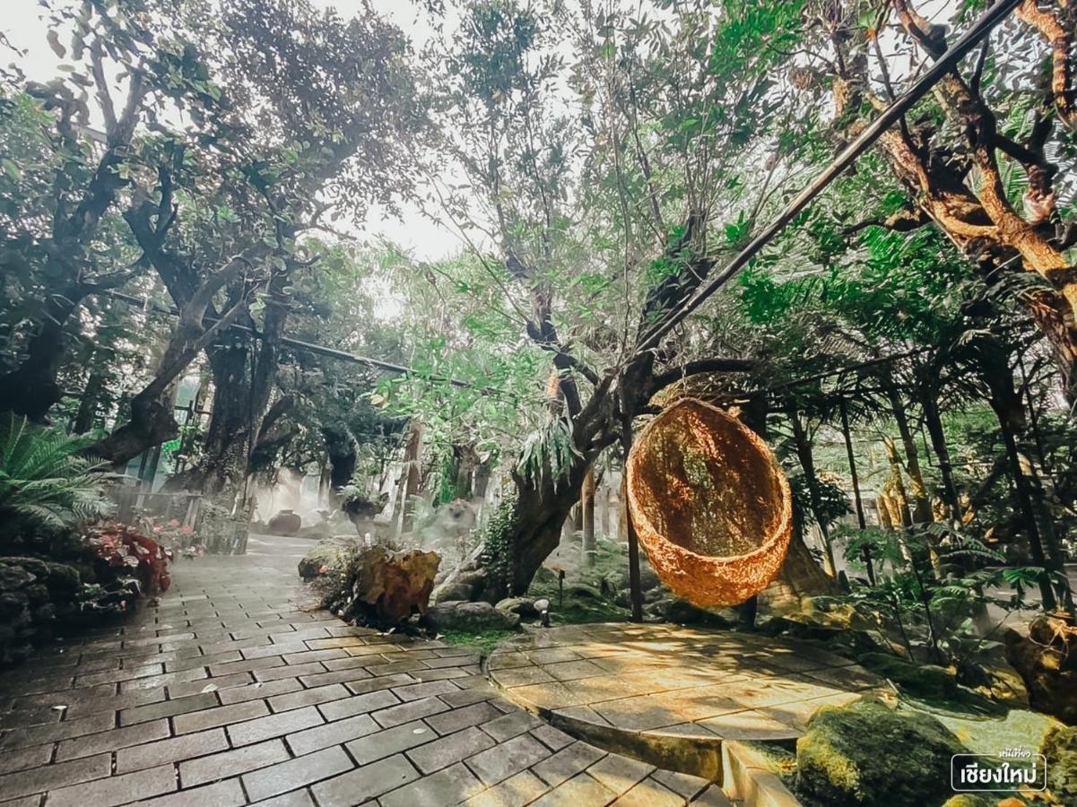 Treescape Resort Chiangmai Chiang Mai Exteriör bild