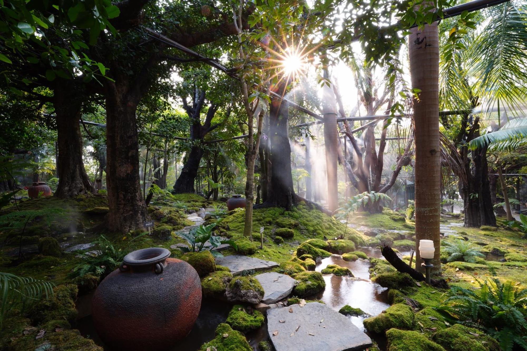 Treescape Resort Chiangmai Chiang Mai Exteriör bild