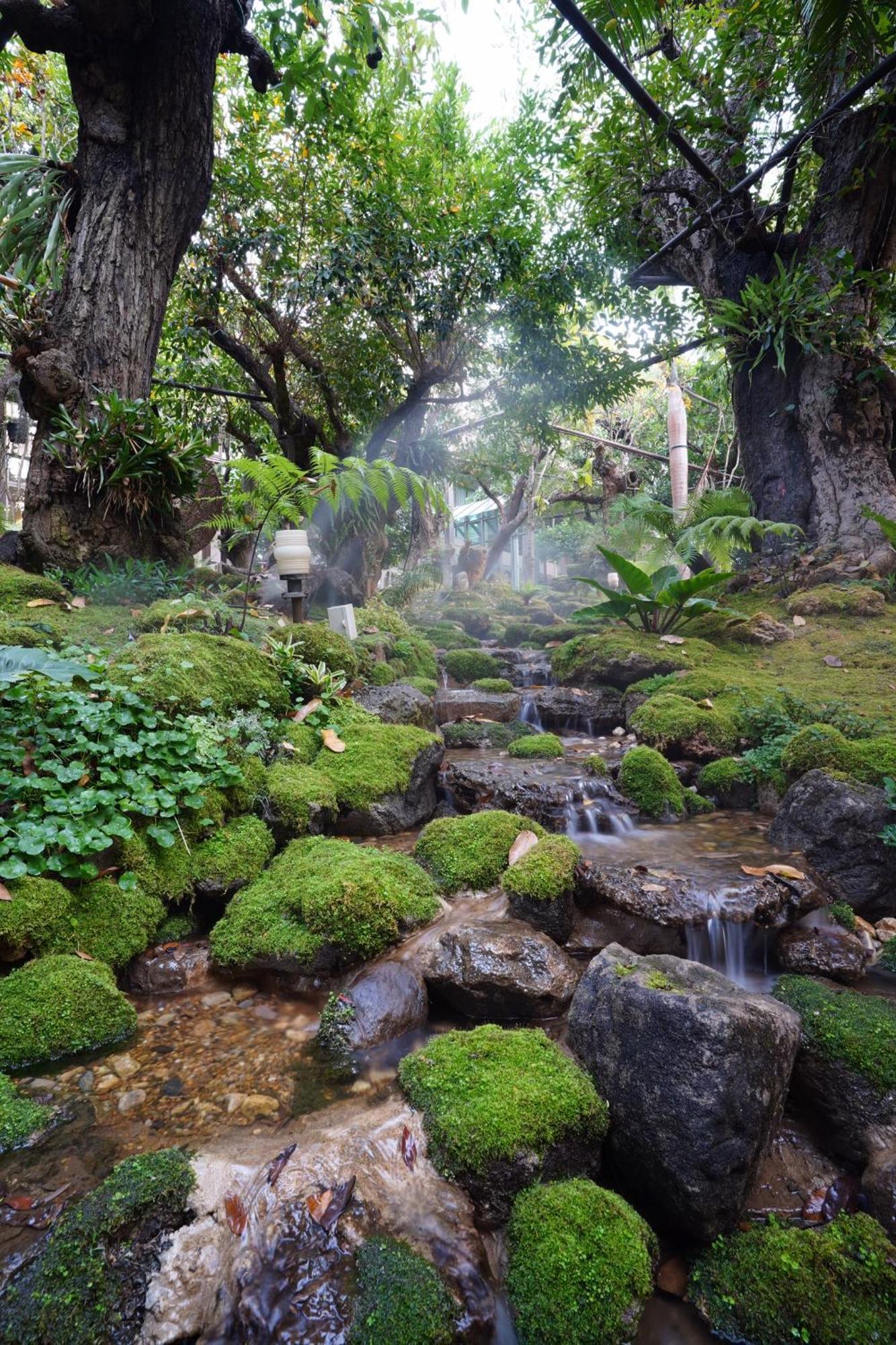 Treescape Resort Chiangmai Chiang Mai Exteriör bild